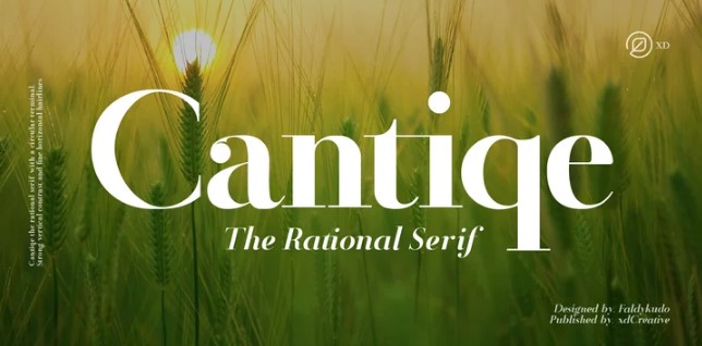 [Myfonts] Cantiqe Font (2021)_0.jpg